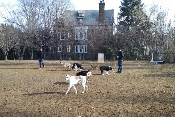 Chester Ave Dog Park 1 Final